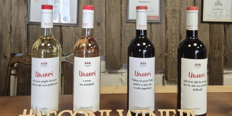 Cramele Asconi din Chișinău – locul unde vinul spune povești